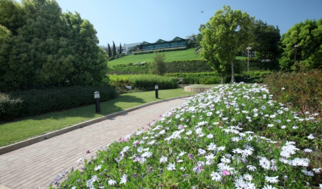 Kipos MMA -11661-161 - cAkriviadis-site