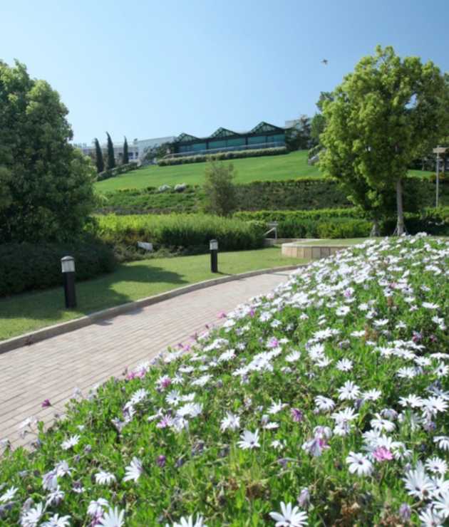 Kipos MMA -11661-161 - cAkriviadis-site