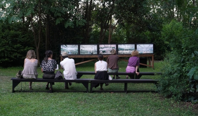 Annex M - Aeonium-George Drivas-opening-© akriviadis.gr