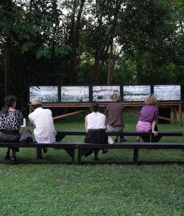 Annex M - Aeonium-George Drivas-opening-© akriviadis.gr