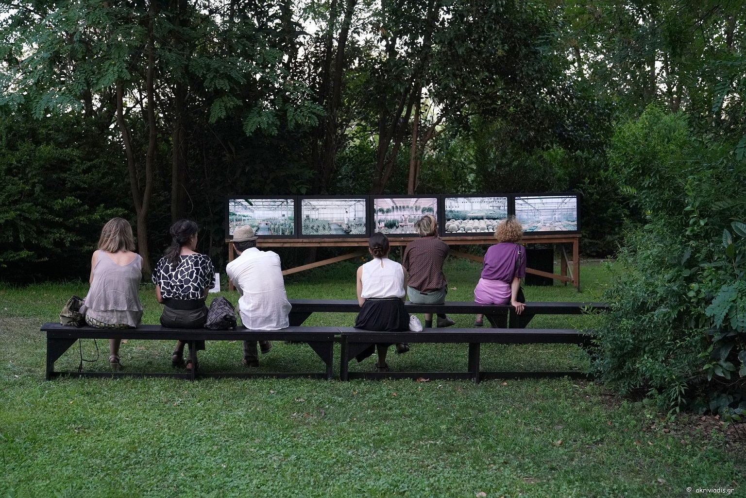 Annex M - Aeonium-George Drivas-opening-© akriviadis.gr