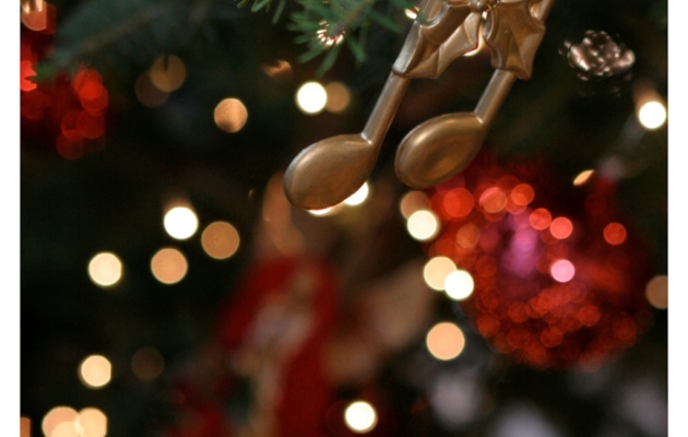 Xristougenna_sto_Megaro_11025-005