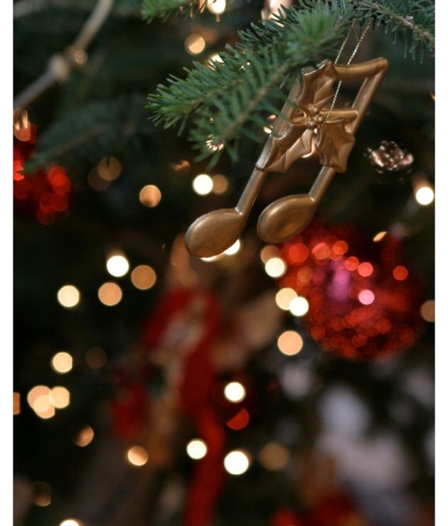 Xristougenna_sto_Megaro_11025-005