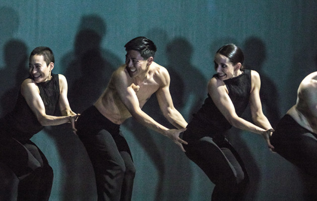 NEDERLANDS DANS THEATRE