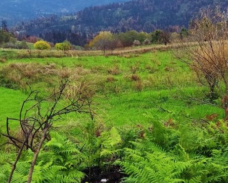 Βόρεια Εύβοια_2Βόρεια Εύβοια_2
