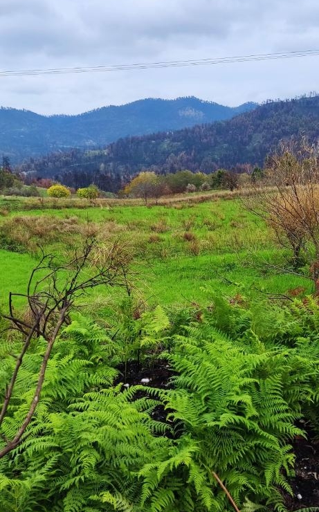 Βόρεια Εύβοια_2Βόρεια Εύβοια_2