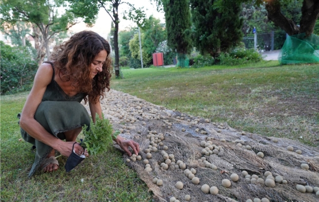 annexM_Songlines-Katerina-Katsifaraki