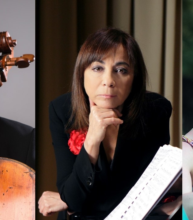 tamesalu-nomidou-zadory