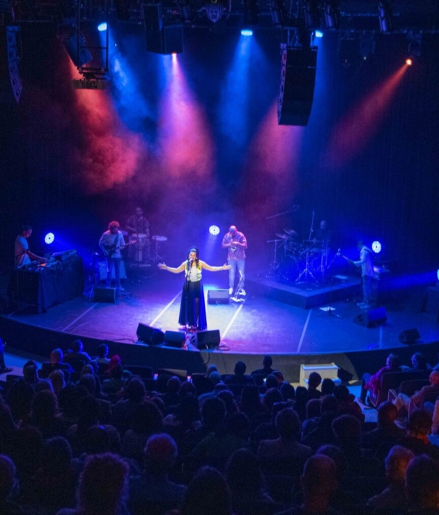 The Rolex Mentor and Protégé Arts Initiative 2012-2013, Music - Update 2022