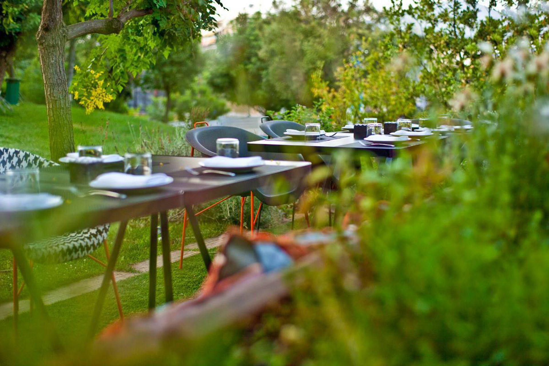 13123034_1054960907930040_390119184626905565_o