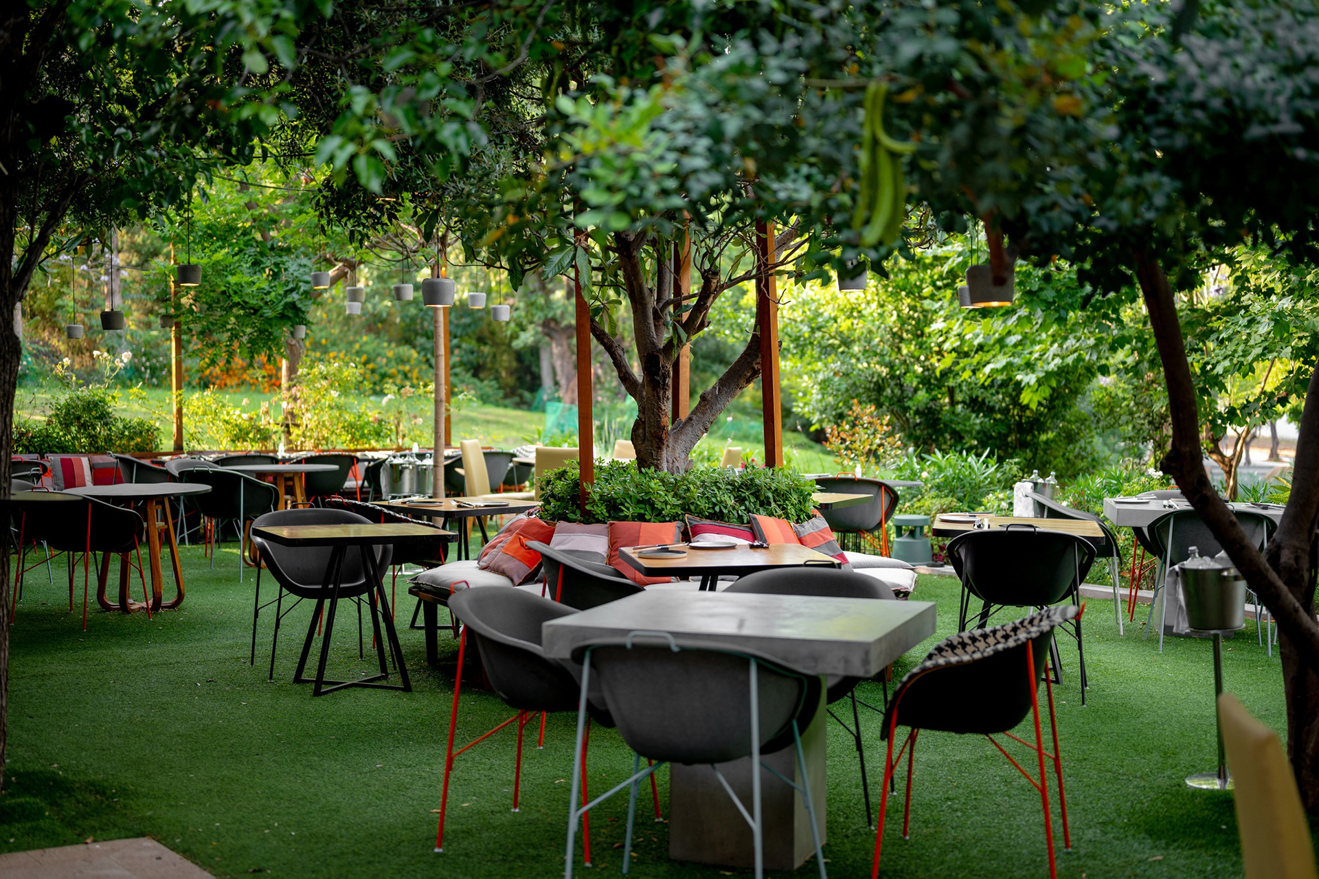 fuga 442419944_785207147043056_5174534083718817452_n