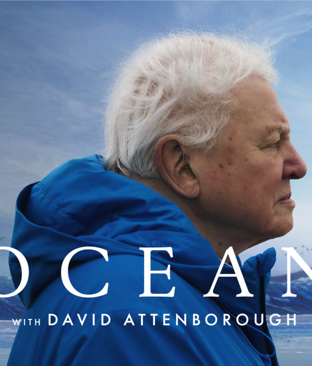 25.09.17_OCEAN_MegaronWebBanner_D_1920x1080px