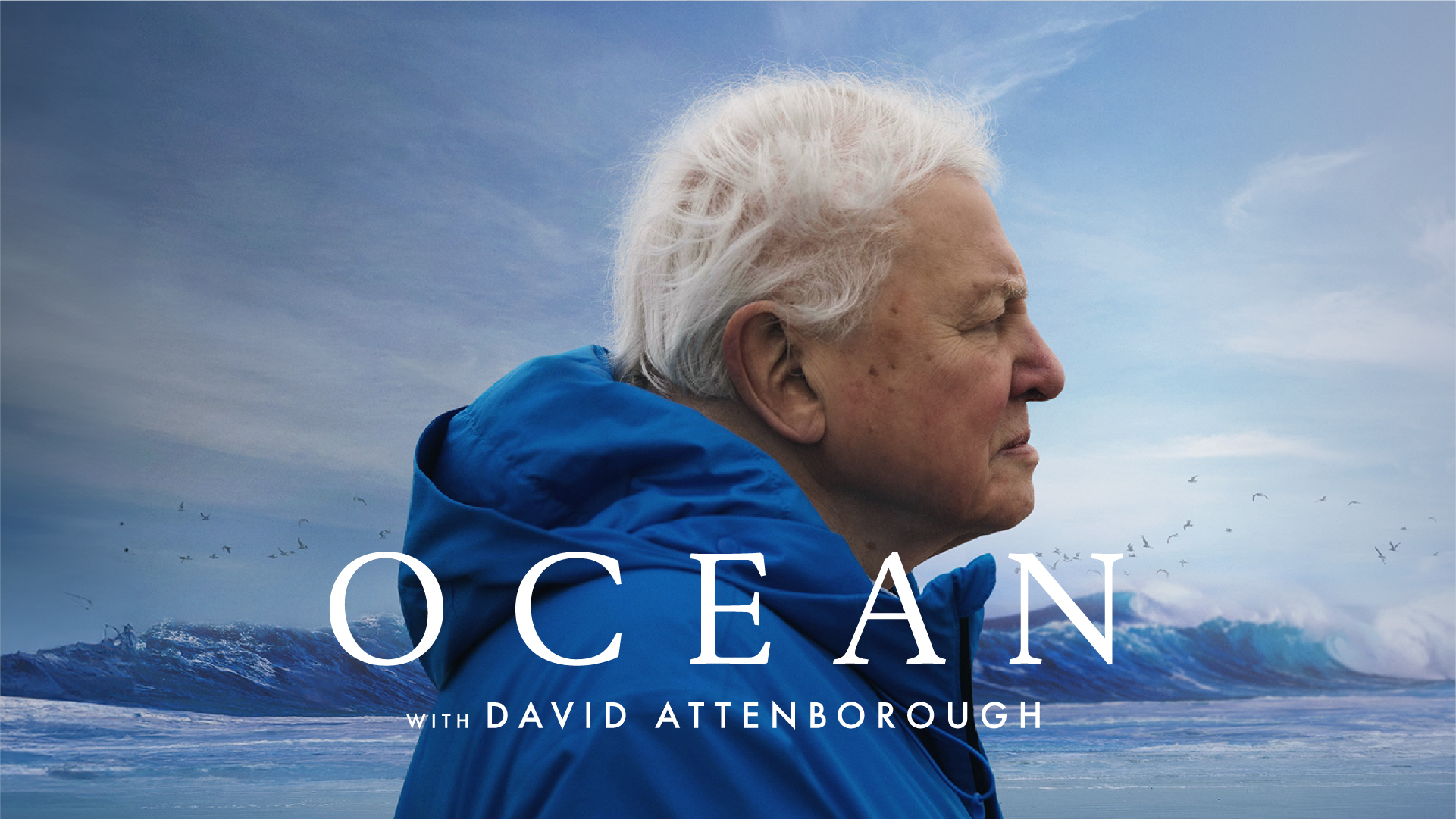 25.09.17_OCEAN_MegaronWebBanner_D_1920x1080px