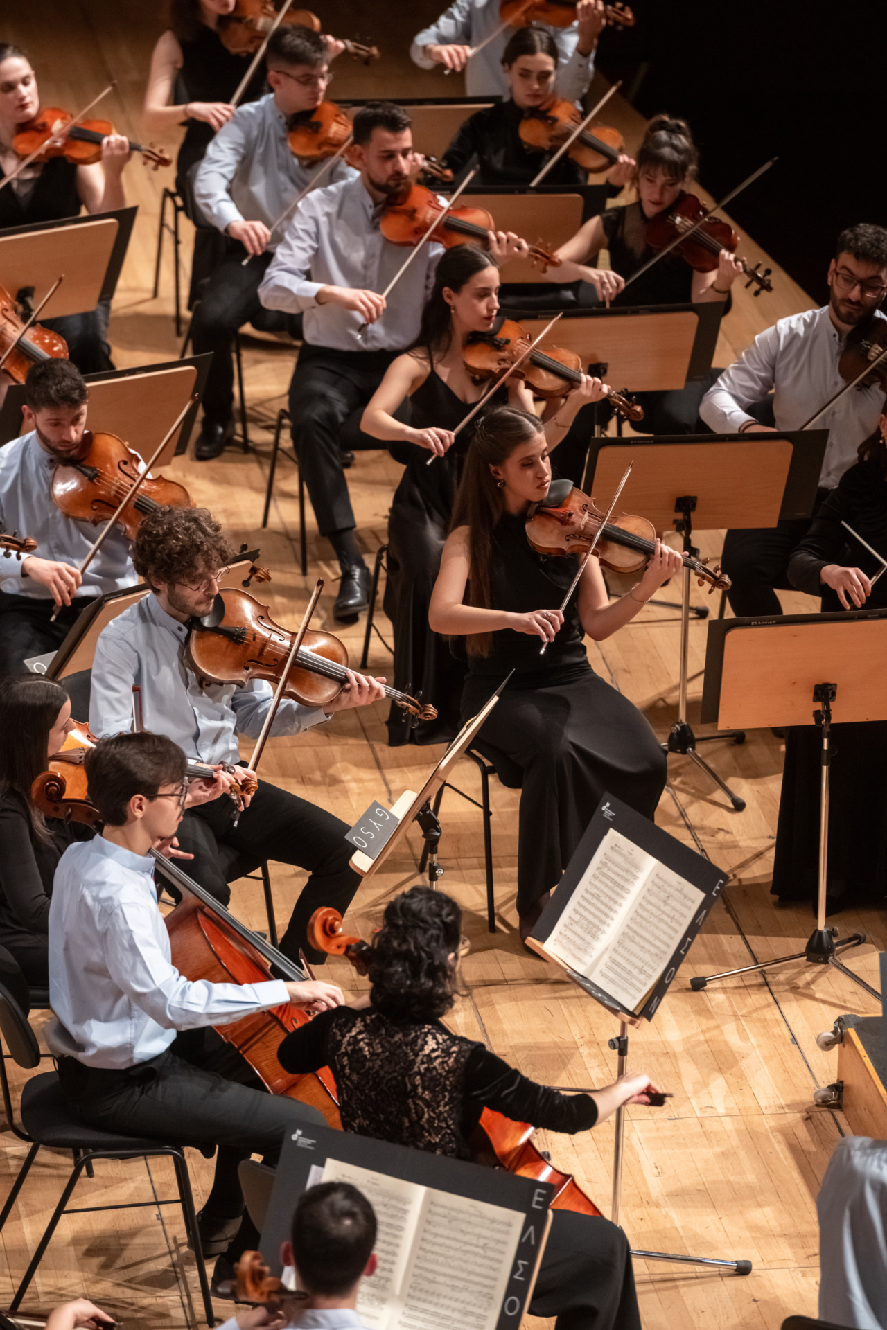 ELSON – by George Xigos