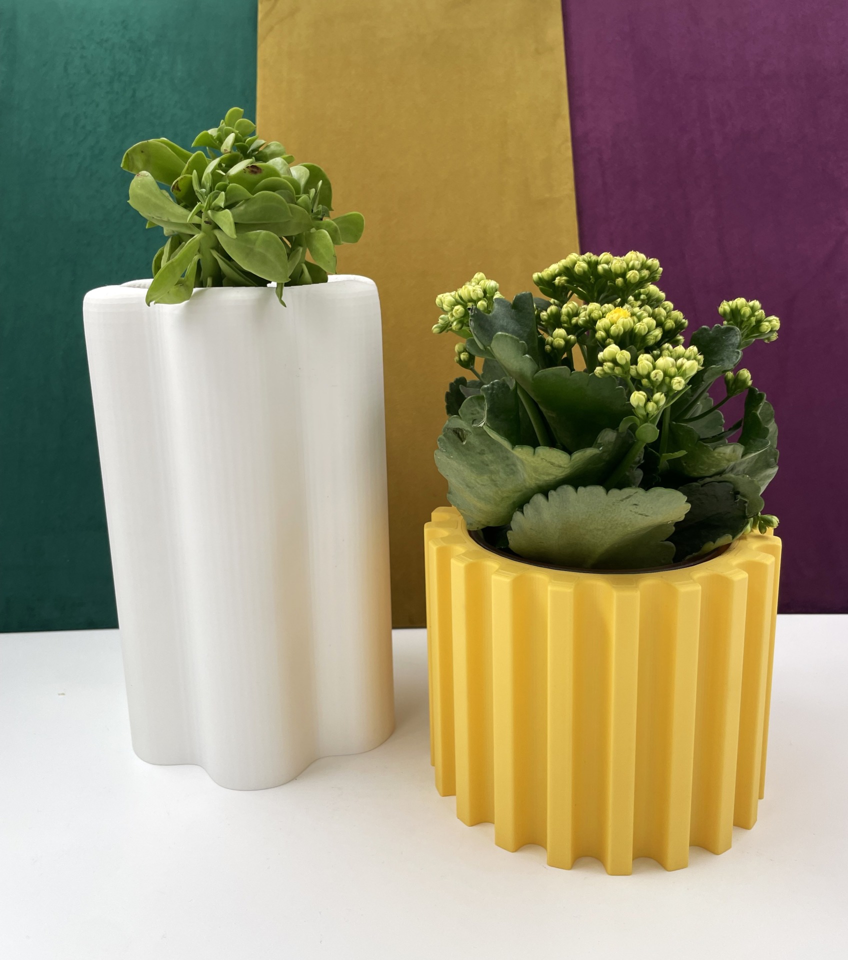 M SHOP Easter 26 vaza MORPHE