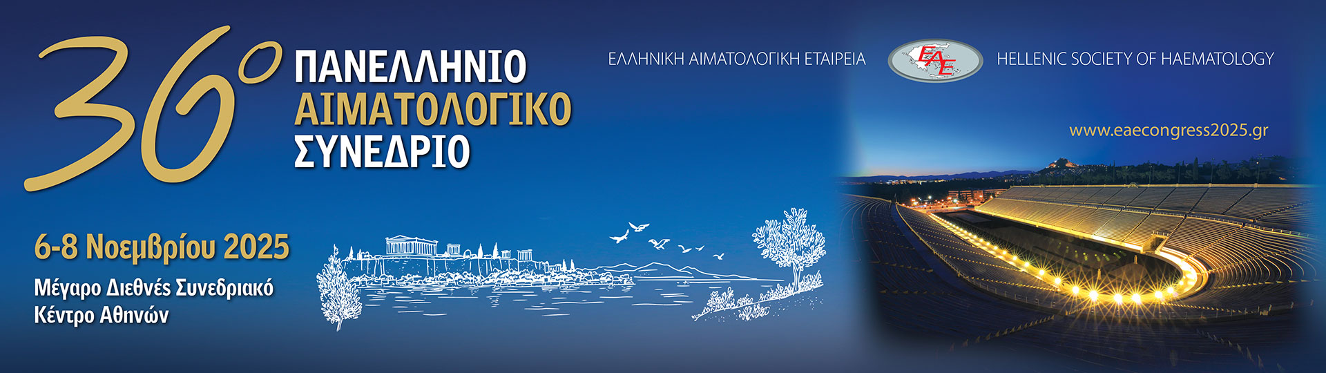 web-banner2