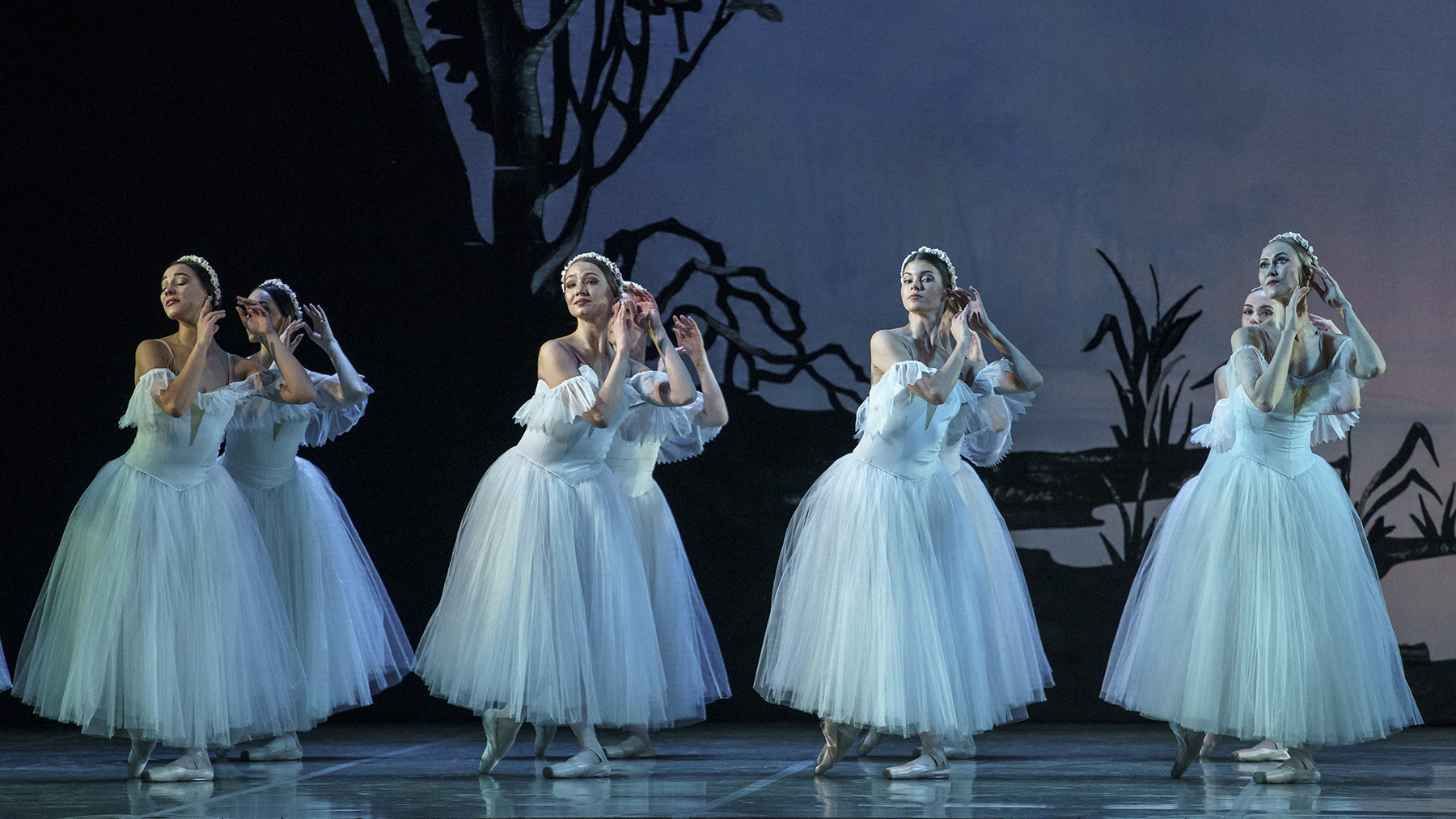 ΜΜΑ 26-27- Sylphides-dsc07261