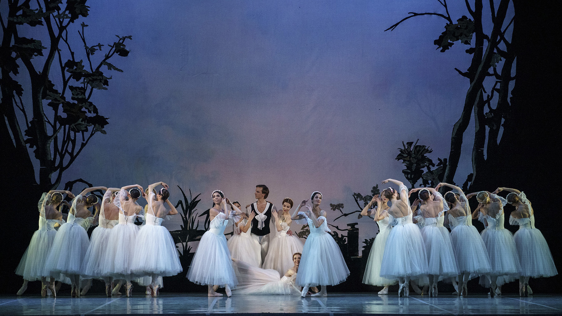 ΜΜΑ 26-27- Sylphides-dsc07381-2