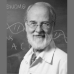 ΜΜΑ 26-27-ΑΚΑΔΗΜΙΑ-Αντωναράκης Ε. Στυλιανός-site