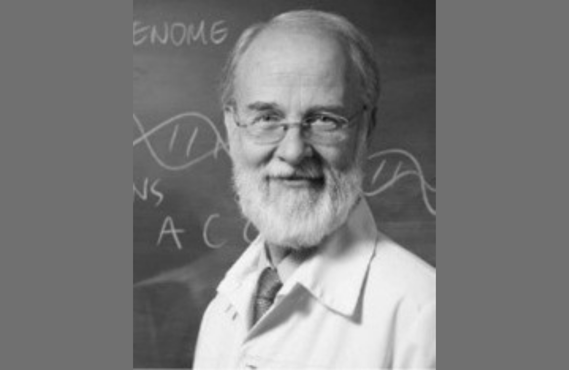 ΜΜΑ 26-27-ΑΚΑΔΗΜΙΑ-Αντωναράκης Ε. Στυλιανός-site