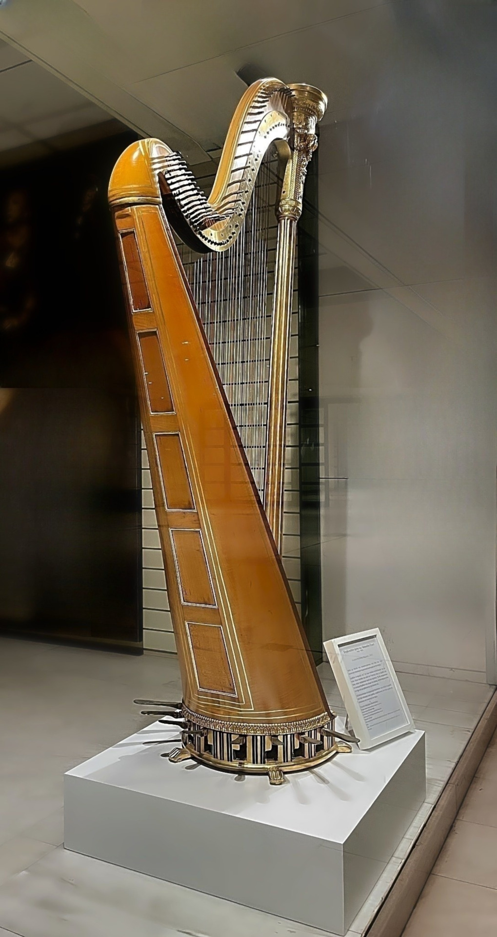 Arpa D. Nomikou – side